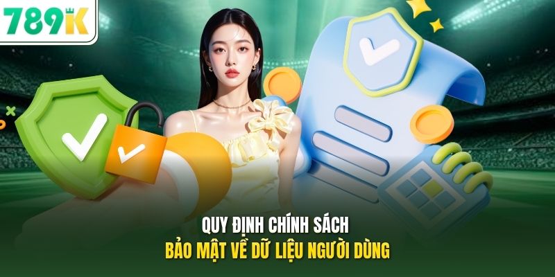 Quy định Chính sách bảo mật về dữ liệu người dùng